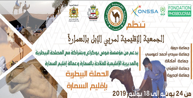 2ème édition de la «Campagne santé cameline» : Traitements et vaccinations au profit de 8000 camelins