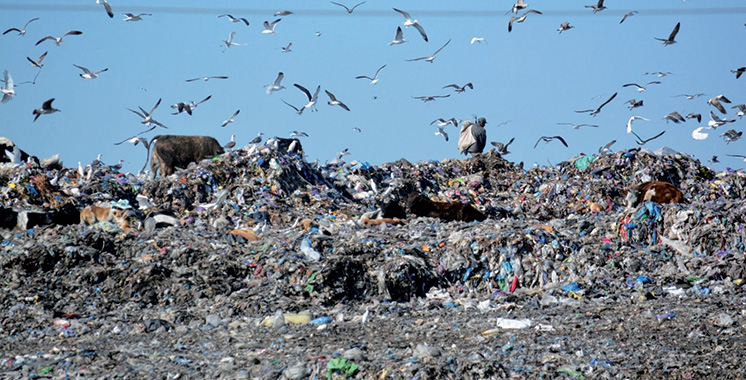 La mobilisation pour la fermeture de la décharge de Tanger s’accentue