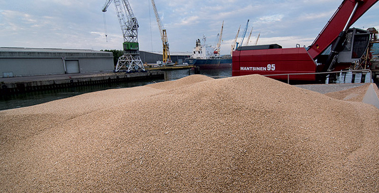 Commercialisation des céréales : De nouvelles mesures appliquées depuis le 1er juin