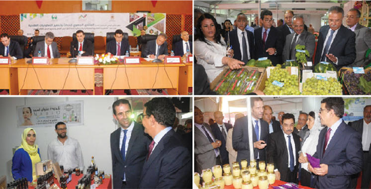 Casablanca-Settat mise sur les coopératives agricoles : 1.250 à créer d’ici 2023