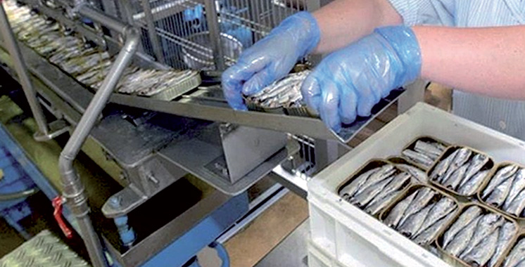 Agadir Haliopôle Cluster veut améliorer l’efficacité énergétique des entreprises