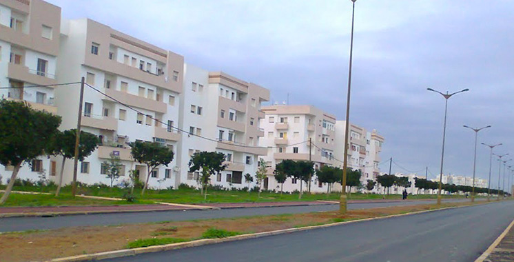 Petite Vir e Dans Les Art res De Tamesna Aujourd hui Le Maroc