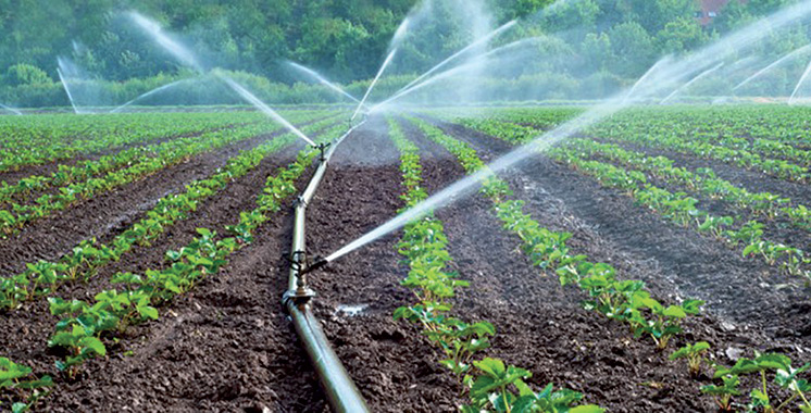 Irrigation : Plus de 18.000 ha à moderniser  dans le Souss-Massa