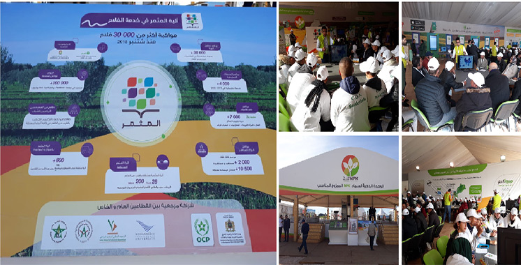 Cultures arboricoles dans la région de Saiss : «Al Moutmir itinérant» déploie son dispositif à Meknès