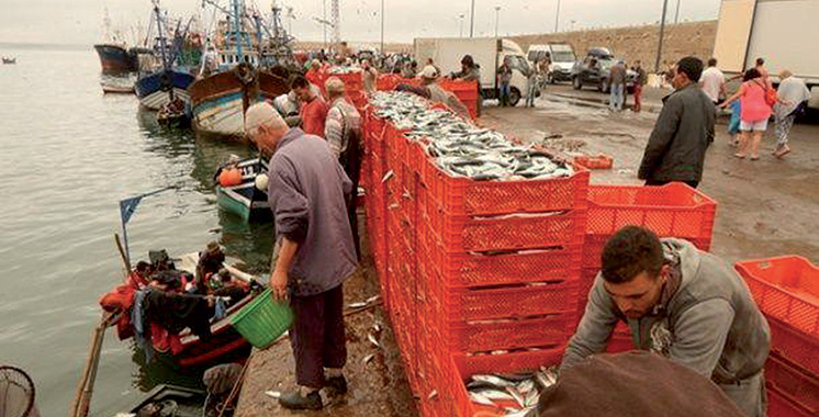 Pêche: Hausse de la valeur des produits commercialisés de 36% en 2021