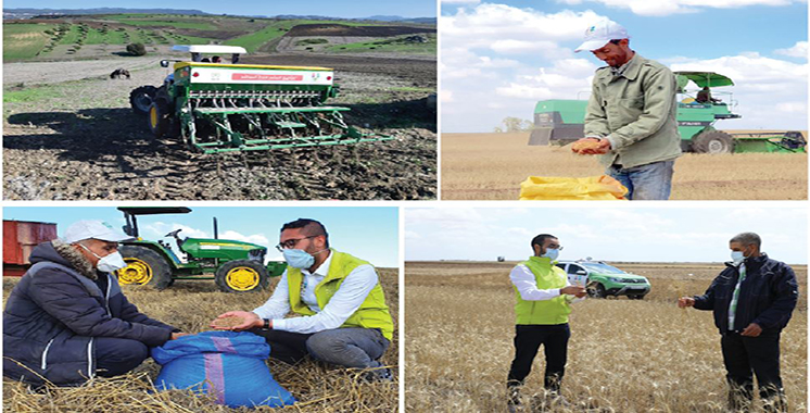 Ocp Lance Un Programme Pilote Pour 900 Agriculteurs à Rehamna Et Youssoufia Aujourdhui Le Maroc 