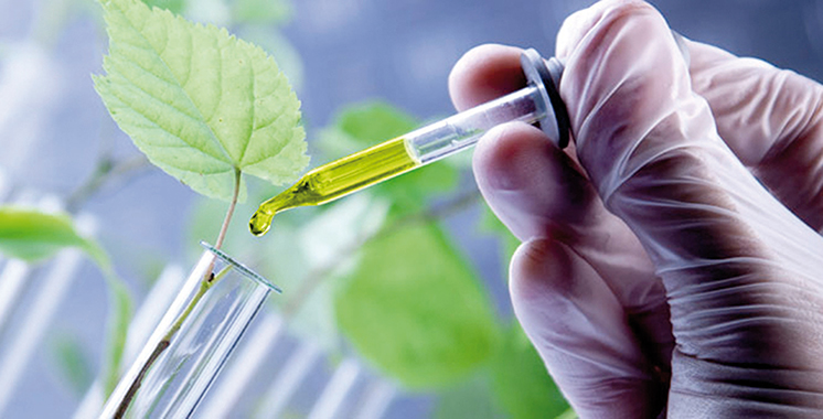 Innovation agricole / Grand Prix Hassan II : Les candidatures sont ouvertes