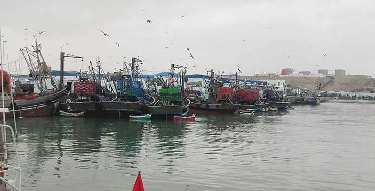 Port de Tan-Tan : Les débarquements en hausse en quantité  et en valeur