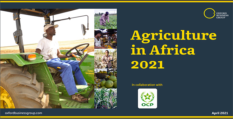 Secteur vital de l’économie sur le continent  : Oxford Business Group et OCP décryptent l’agriculture en Afrique