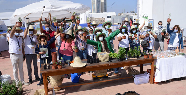 A la découverte de l’agriculture urbaine : Attijariwafa bank organise  un «Green Day»