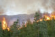Feu de forêt à M'diq-Fnideq: 3 éléments de la Protection civile décédés