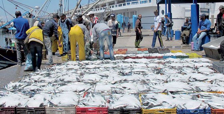 Guelmim-Oued Noun: The maritime fishing sector, a lever for the development of the region
