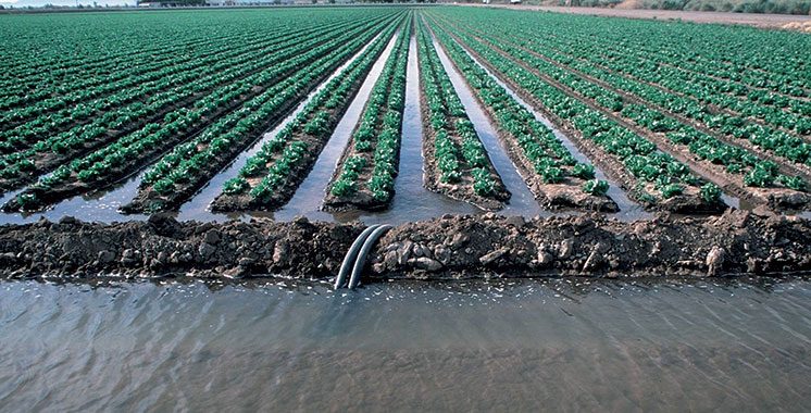 Irrigation : Des milliards de m3 d'eau économisés