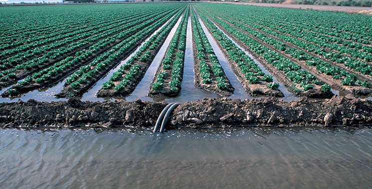 Irrigation : Des milliards de m3 d’eau économisés