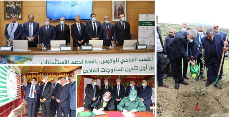 Développement agricole : Sadiki en visite de terrain aux provinces  de Tanger, Tétouan et Chefchaouen