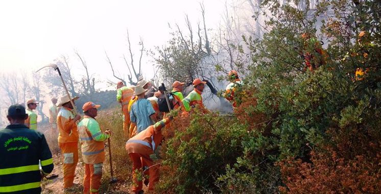 8 millions DH pour réfectionner des habitations touchées par les feux de forêt