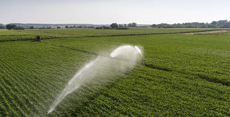 Agriculture : Un appel d’offres pour le suivi et le contrôle des projets d’irrigation