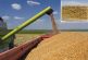 Céréales : Comment  le Maroc sécurise  son approvisionnement