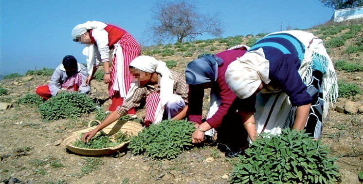 Rural women: Empowerment goes through “farming 4.0”