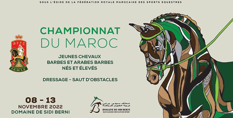 Dressage et saut d’obstacles : La FRMSE organise la 7ème édition du Championnat du Maroc des jeunes chevaux