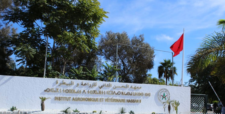 Au SIAM 2023 : L’IAV Hassan II lance ses Doctoriales 2023 – Aujourd'hui ...