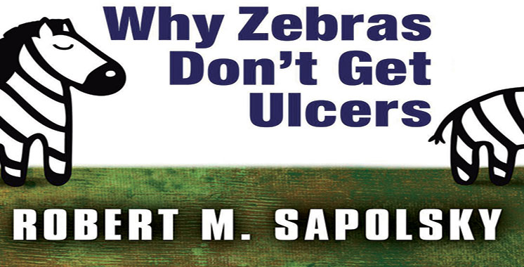 Why Zebras Don't Have Ulcers