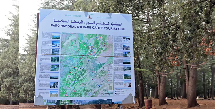 Tourisme : Les travaux de valorisation du Parc National d’Ifrane ...