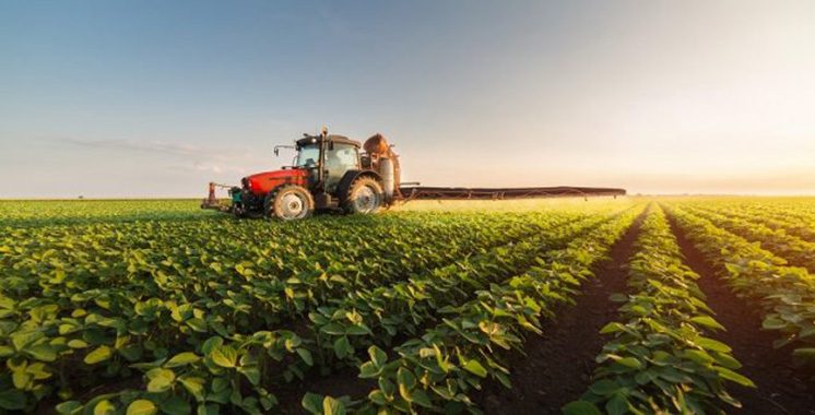 Génération Green : Bientôt une plateforme pour renforcer  le pilotage du secteur agricole