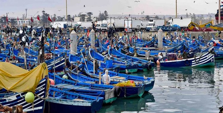 Ports situés sur la Méditerranée : Les débarquements de la pêche en baisse de 13% à fin juillet