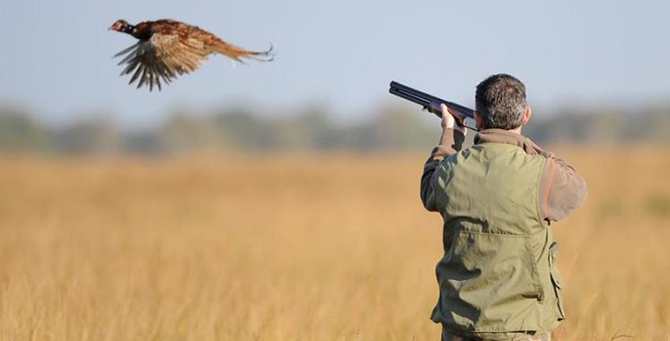 Chasse : L’ANEF déclare la guerre  au braconnage