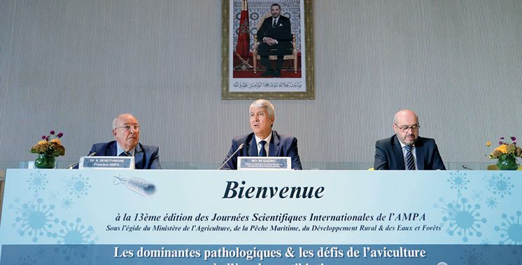 Résistance aux antibiotiques, dominantes pathologiques, mesures prises… Des experts de haut niveau débattent des enjeux sanitaires de l’aviculture