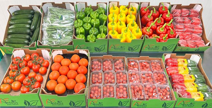 fruits-et-l-gumes-le-maroc-consolide-sa-position-de-premier
