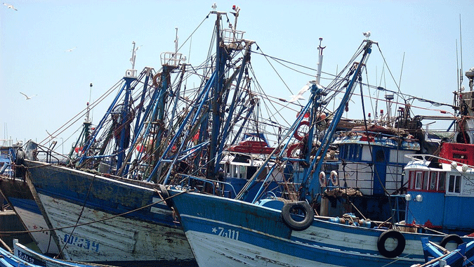 Pêche côtière et artisanale: Lancement du projet d’extension du port de pêche de Laâyoune pour 210 MDH