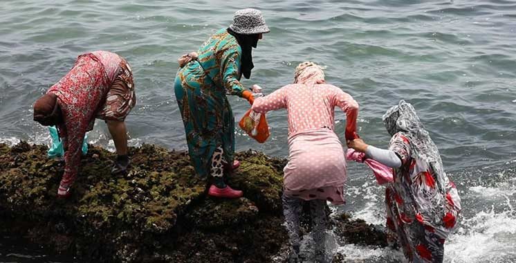 D’un appui financier de 80.000 euros : Le Maroc et l’ONU Femmes lancent un projet pour l’autonomisation des femmes dans le secteur de la pêche