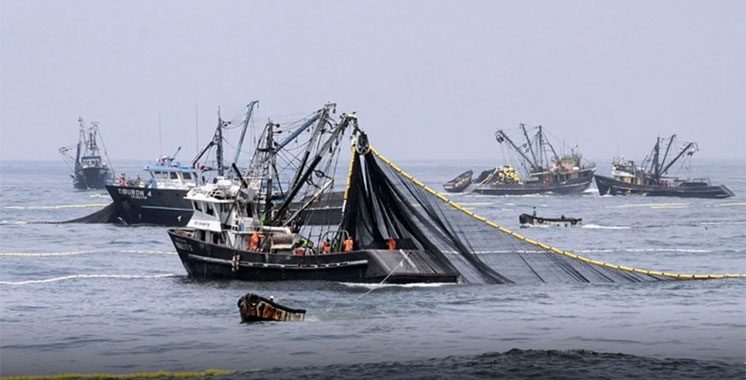 Pêche : L’INRH accompagne  les pratiques durables