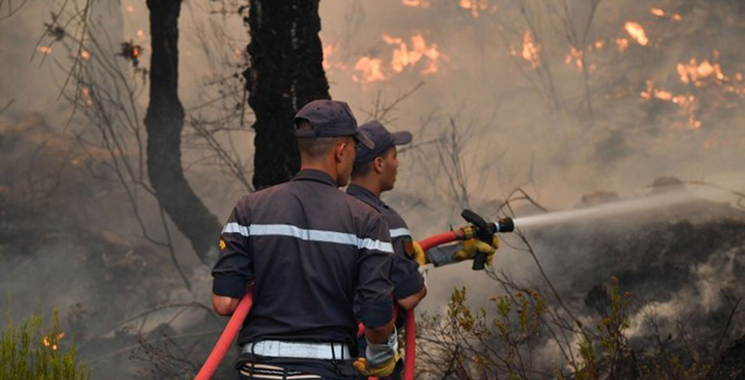 874 hectares ont été ravagés par le feu en 2024 / Lutte contre les incendies de forêts :  160 millions DH mobilisés cette année