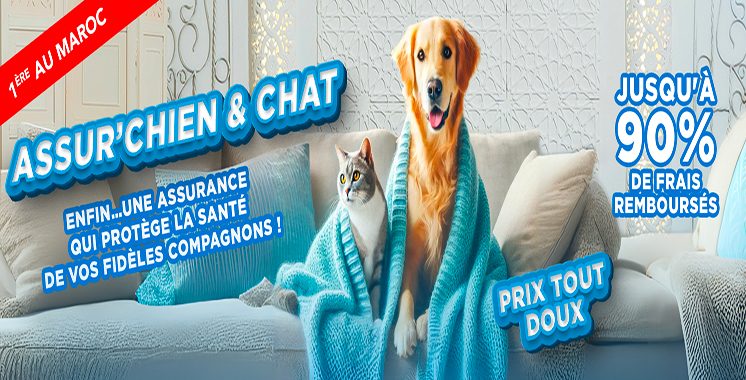 Lancée par Sanlam Maroc :  «Assur’Chien  & Chat», 1ère assurance santé pour animaux  de compagnie