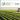 Vibrant La Fenagri Organise La 1re Édition De L'agro Export Day Landscape Illustration Vibrant La Fenagri Organise La 1re Édition De L'agro Export Day Landscape Illustration