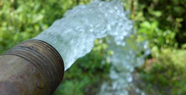 L’agriculture, grand consommateur avec 88% : Ce que recommande Policy Center pour réduire le gaspillage de l’eau au Maroc