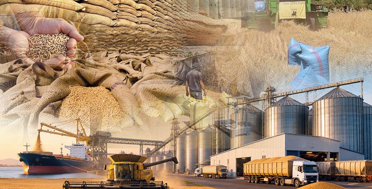 Pourquoi le Maroc prolonge la prime aux céréaliers : une mesure pour sécuriser les stocks