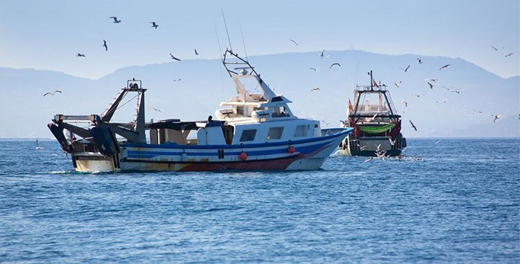Les poissons se vendent mieux mais le pêcheur ramène moins : que disent les chiffres à fin juin ?