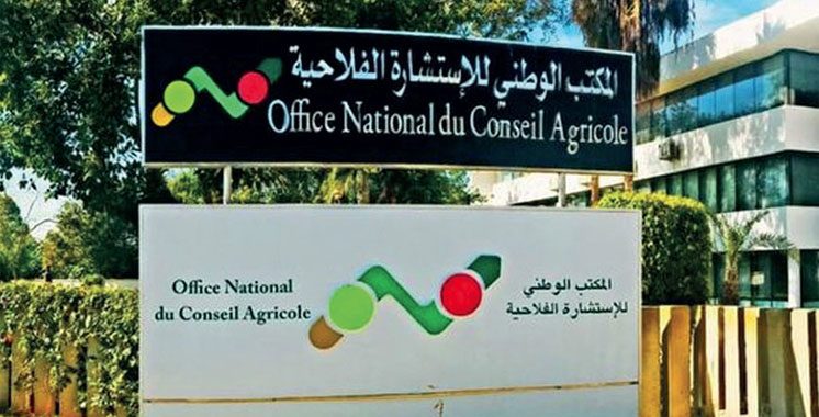 L'ONCA se lance sur les réseaux sociaux pour rapprocher l'agriculture des Marocains