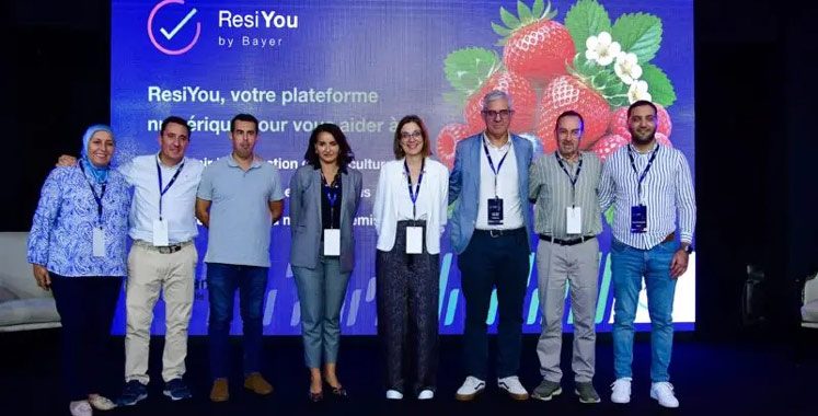 Innovation digitale: Bayer lance ResiYou pour anticiper l’évolution des résidus avant la récolte Innovation digitale: Bayer lance ResiYou pour anticiper l’évolution des résidus avant la récolte