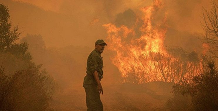 Incendies de forêt: Risque extrême dans 6 provinces Incendies de forêt: Risque extrême dans 6 provinces